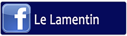 entreprise lamentin