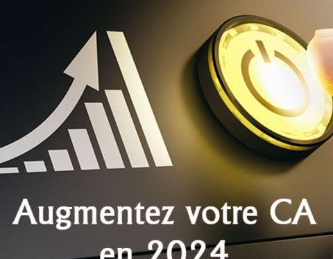 Chiffre d'affaires web 2024 entreprise Guadeloupe