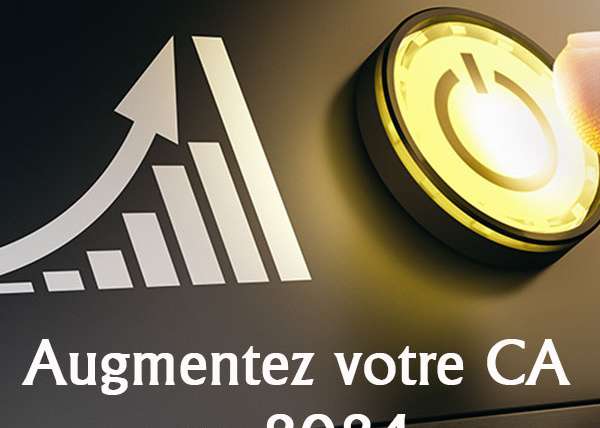 Chiffre d'affaires web 2024 entreprise Guadeloupe