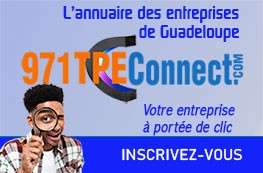 entreprise-Guadeloupe